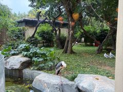-熊猫自助餐厅.萌趣城堡(长隆熊猫酒店)