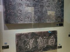 -白鹤梁水下博物馆