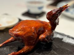 -侨美食家·40年地道粤菜(珠江新城店)