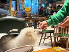 -新疆哈利德餐厅(紫薇都市店)