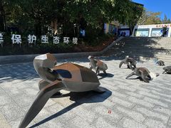 -广东惠东海龟国家级自然保护区