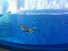 -多彩贵州城极地海洋世界