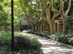 -徐家汇源景区-衡山公园