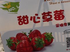-甜心庄园·甜心草莓采摘园(西青中北店)