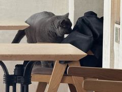 -Me Coffee下午茶艺术空间