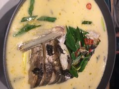 黄汤鱼头-千稻剁椒大鱼头(CityOn熙地港店)
