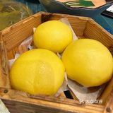 正宗粵菜：正哥点心专家