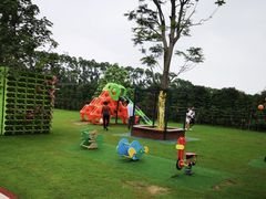 -迪茵湖田家舍生态农场