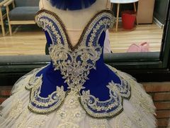 -北京红舞鞋少儿形体舞蹈教育(高新融侨城校区)