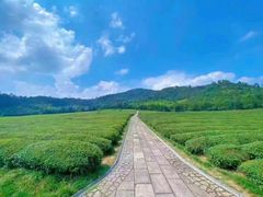 -龙坞茶村