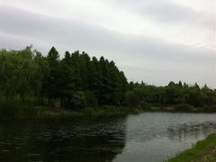 -新江湾城公园