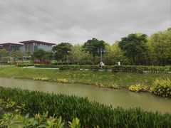-长洲岛