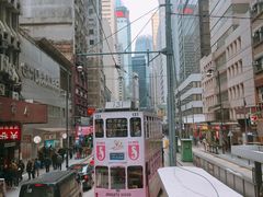 -Big Bus Tours 敞篷观光巴士