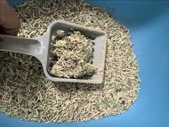 -康成宠物医院24H·CT·核磁共振