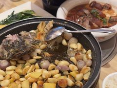 -锦粤宫·精致粤菜(深圳北站店)