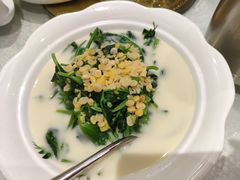 鲜豌豆瓣煮豆尖-陆壹捌餐厅(五大道店)