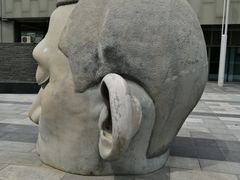 -高·尚领域