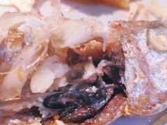 -那些年记忆烧烤