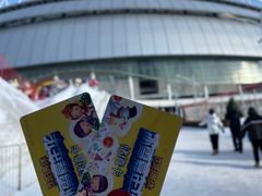 -沈阳奥体冰雪嘉年华