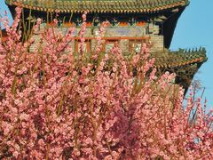-北京明城墙遗址公园