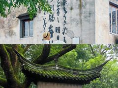 -绍兴鲁迅故里·沈园景区