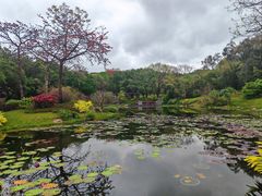 -云溪植物园