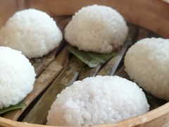 茨毛圆子-双塔老饭店