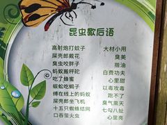 -青青世界
