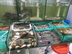 -胖子饺子馆·海鲜家常菜(海军博物馆店)