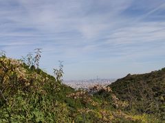 -鬼笑石后山停车场