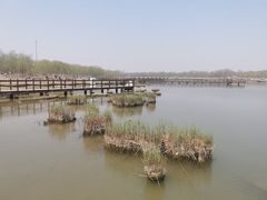 -西青郊野公园