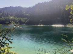 -武陵山森林公园