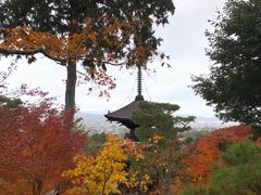 -常寂光寺