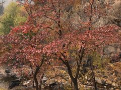 -云岫谷自然风景区