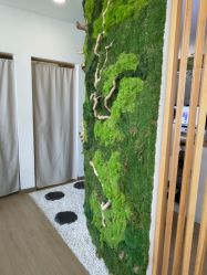 -POCO宝珂丽科技美肤