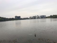 -美兰湖景区