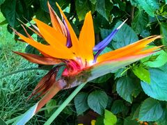 -国家植物园南园