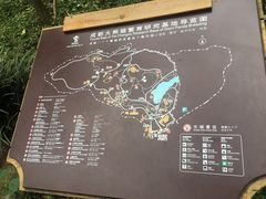 导游图-成都大熊猫繁育研究基地