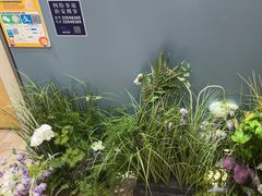 -海马体照相馆(上海月星环球港店)
