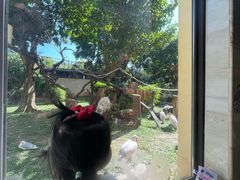 -熊猫自助餐厅.萌趣城堡(长隆熊猫酒店)