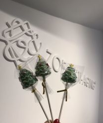 -紫御国际抗衰ZOE ANTI AGING