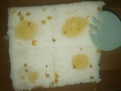 -南大门韩糕(后埭溪路店)