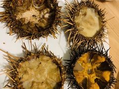 -海胆小馆(东北水饺·春柳店)