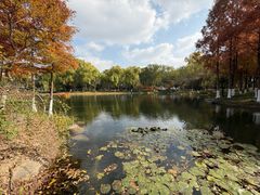 -上海长兴岛郊野公园