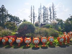 -上海长兴岛郊野公园