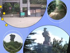 -大金鹰园
