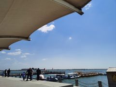 -包头南海湿地景区