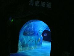 -嘉兴海底世界