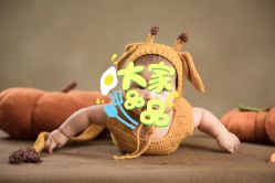 点击看大图 -西瓜庄园儿童摄影