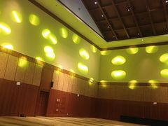 -三亚湾红树林国际会展中心(演出售票)